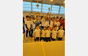 Résultats EA - Poussins du 9 Décembre